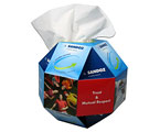 Globe Tissue Box